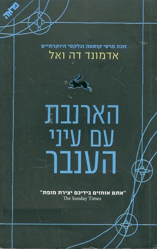 הארנבת עם עיני הענבר
