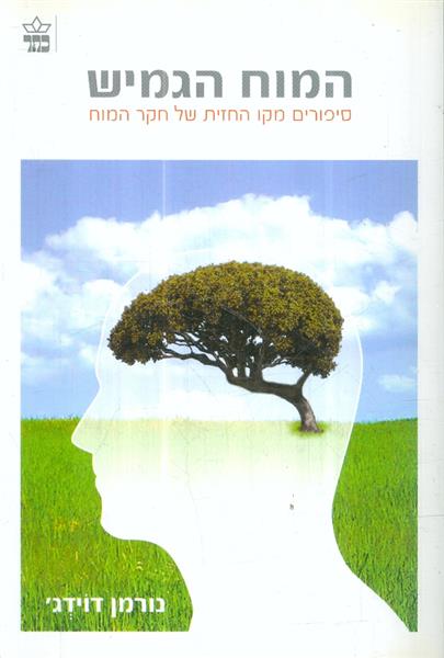 המוח הגמיש