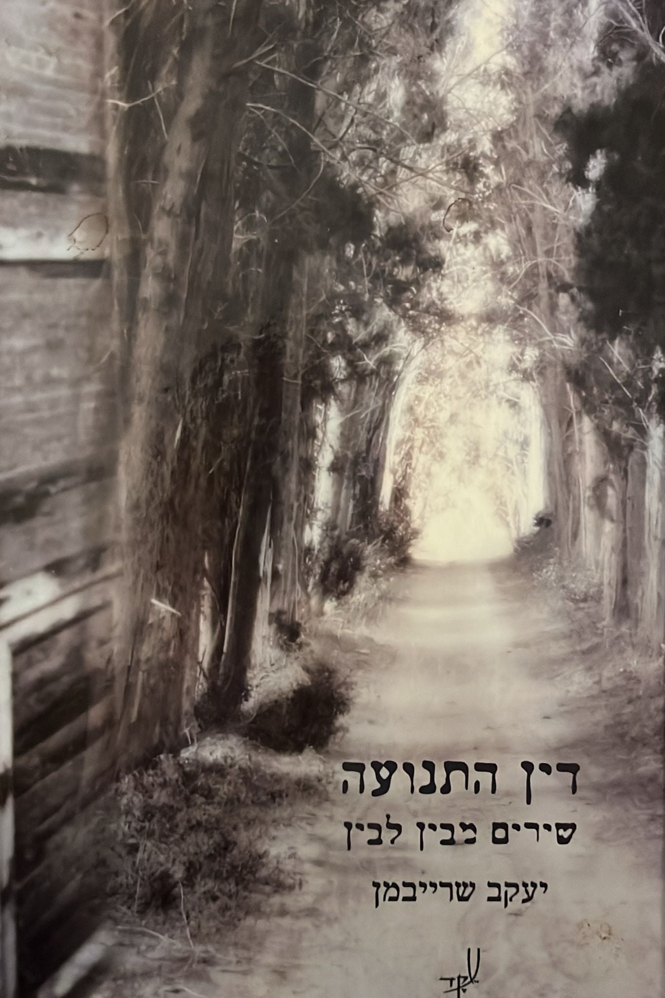 דין התנועה - שירים מבין לבין