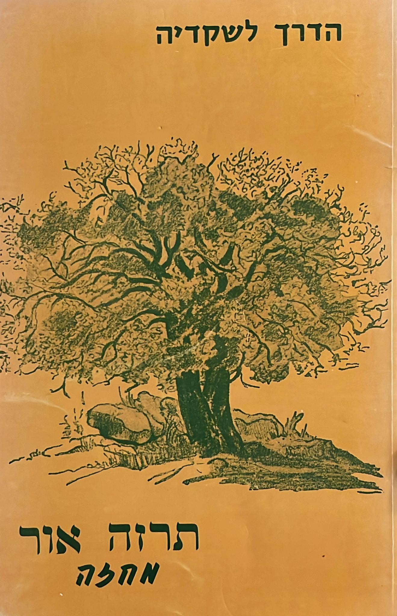 הדרך לשקדיה - הקדשת המחברת