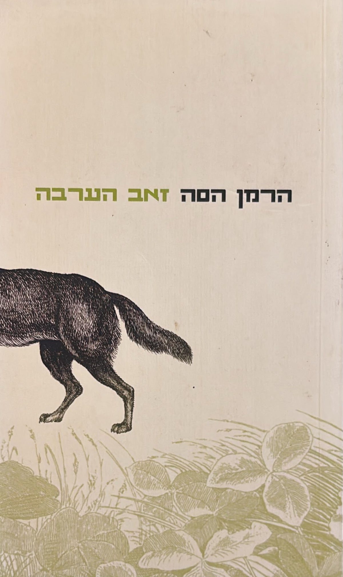 זאב הערבה