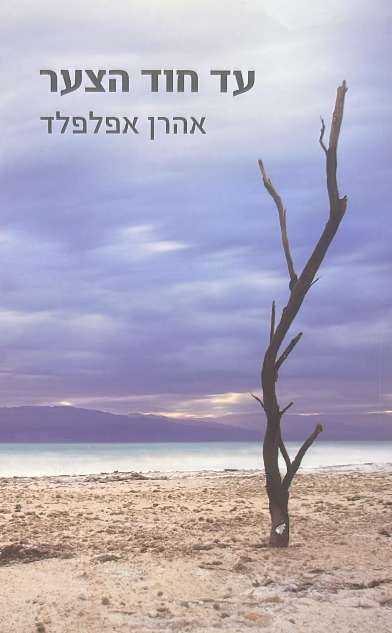 עד חוד הצער