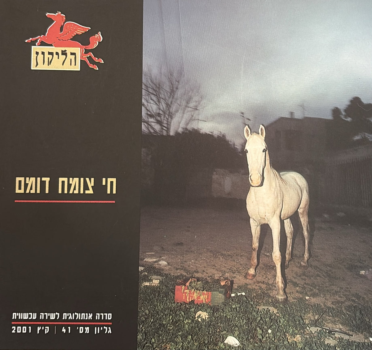 הליקון 41 - חי צומח דומם