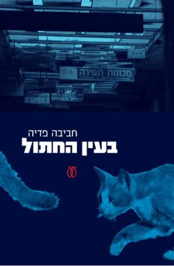 בעין החתול