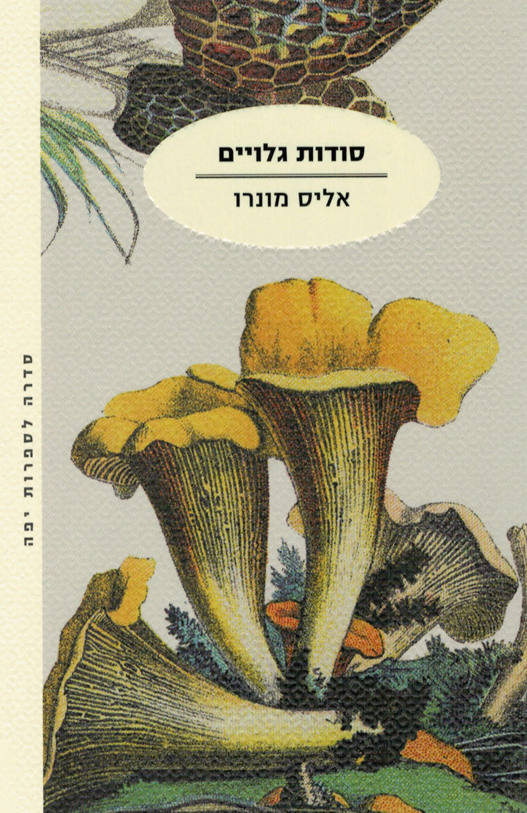 סודות גלויים