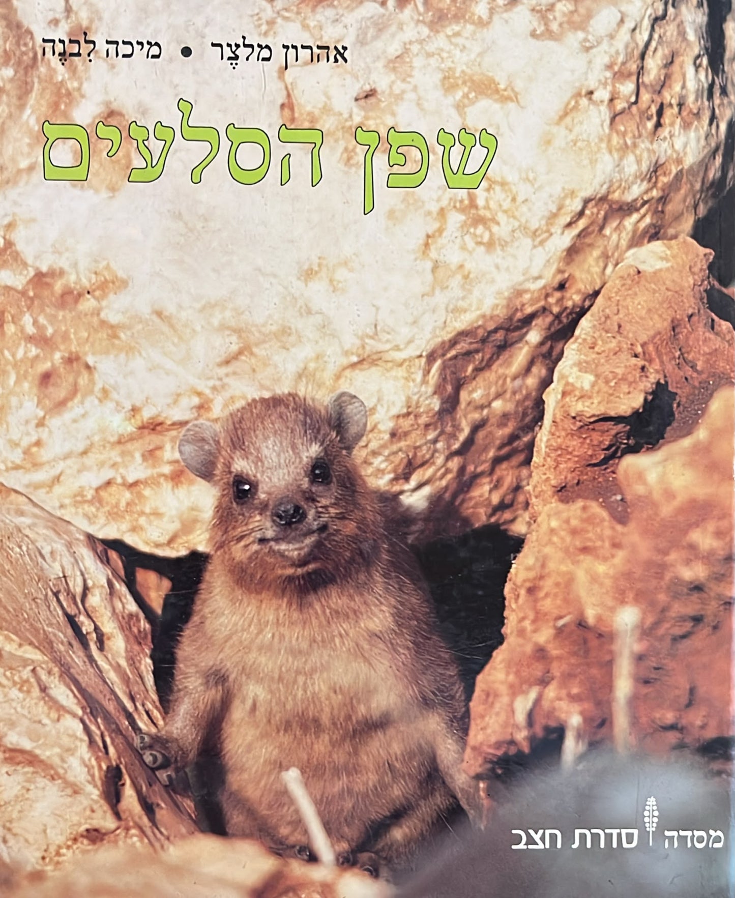 שפן הסלעים