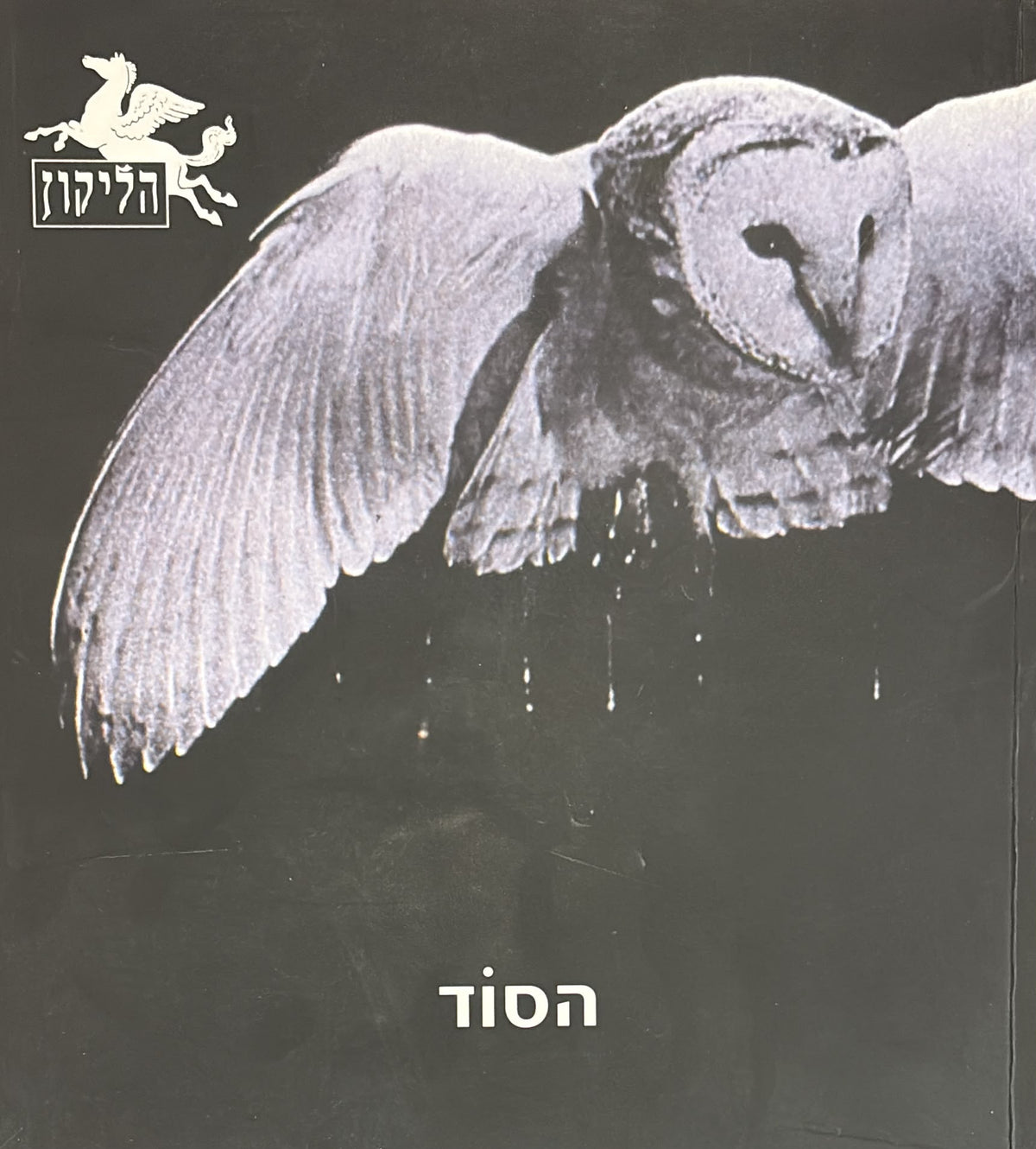 הליקון 67 - הסוד