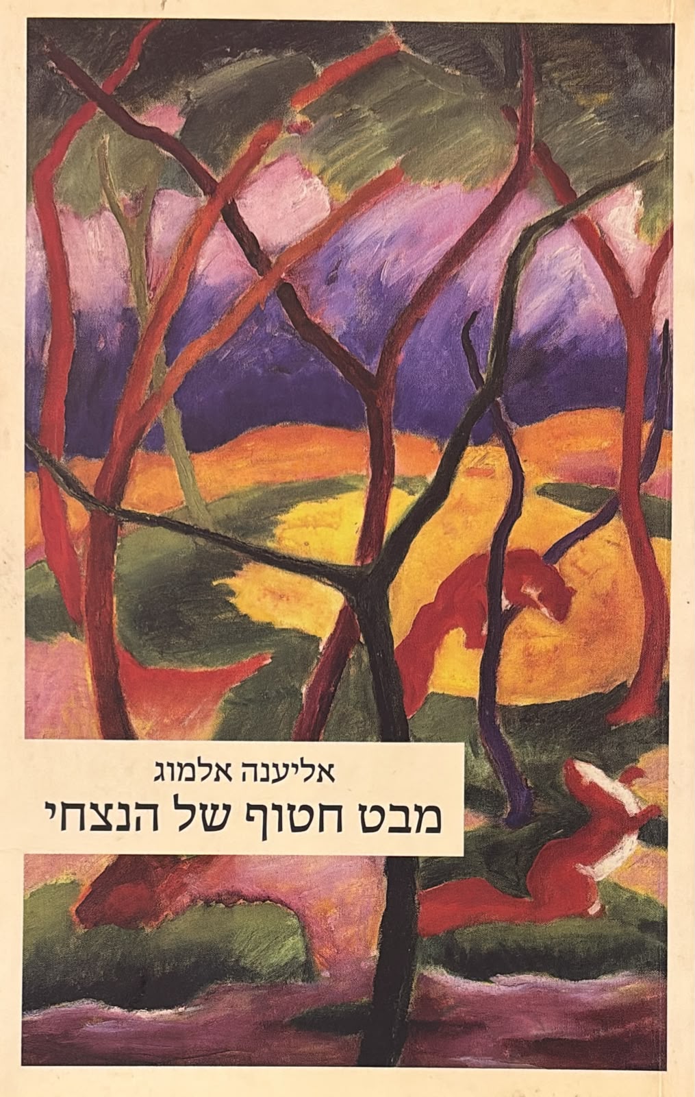 מבט חטוף של הנצחי