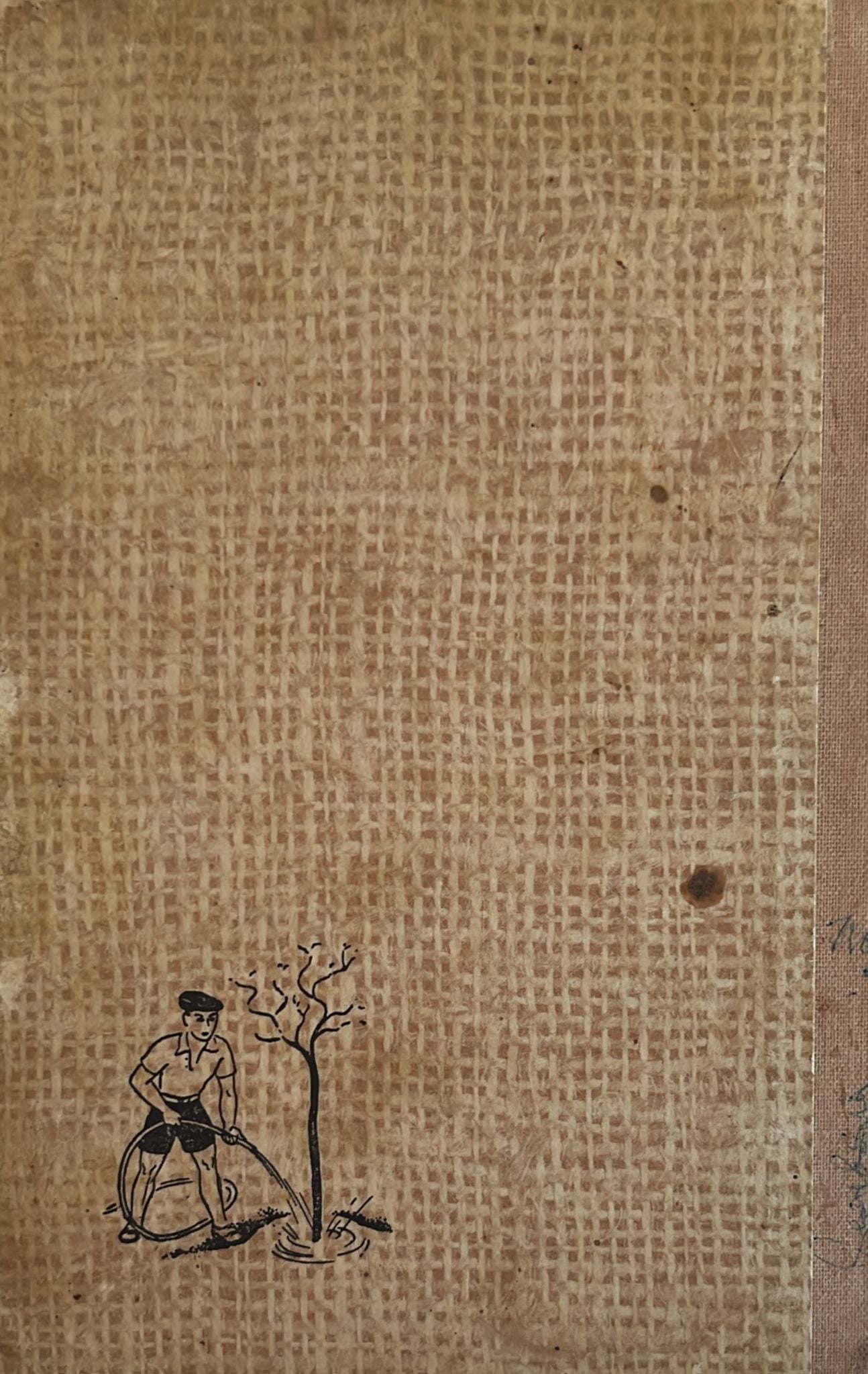 דמויות בשדות