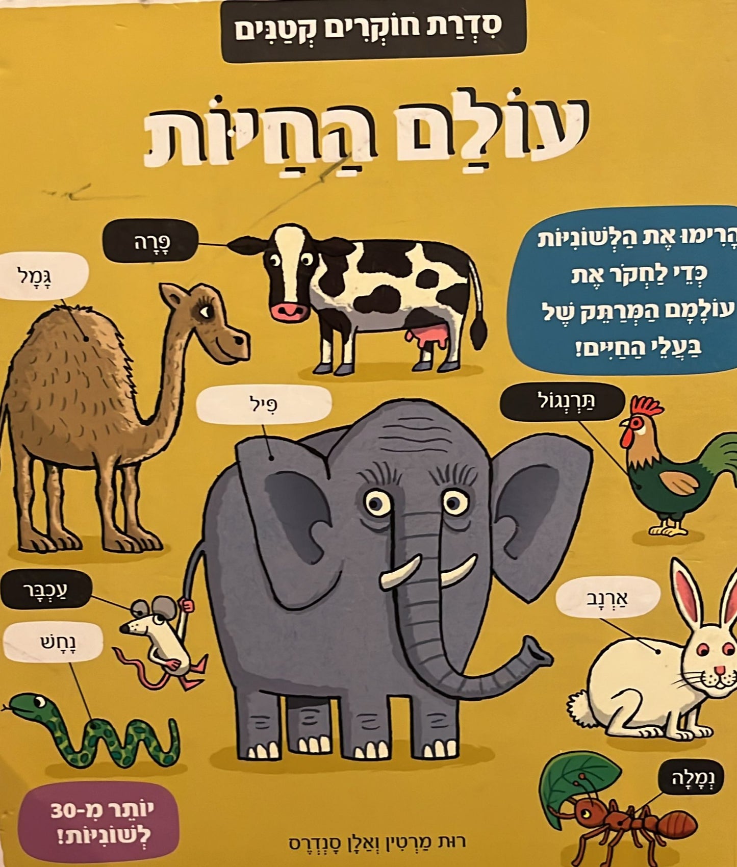 עולם החיות
