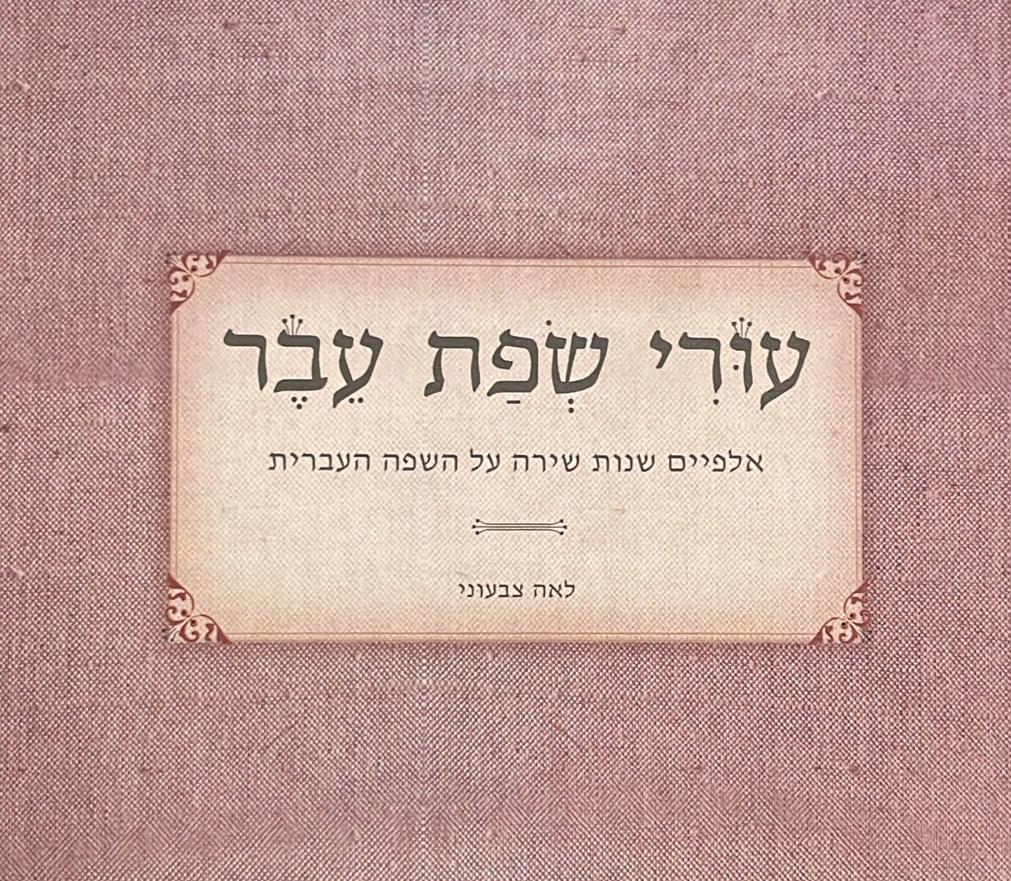 עורי שפת עבר