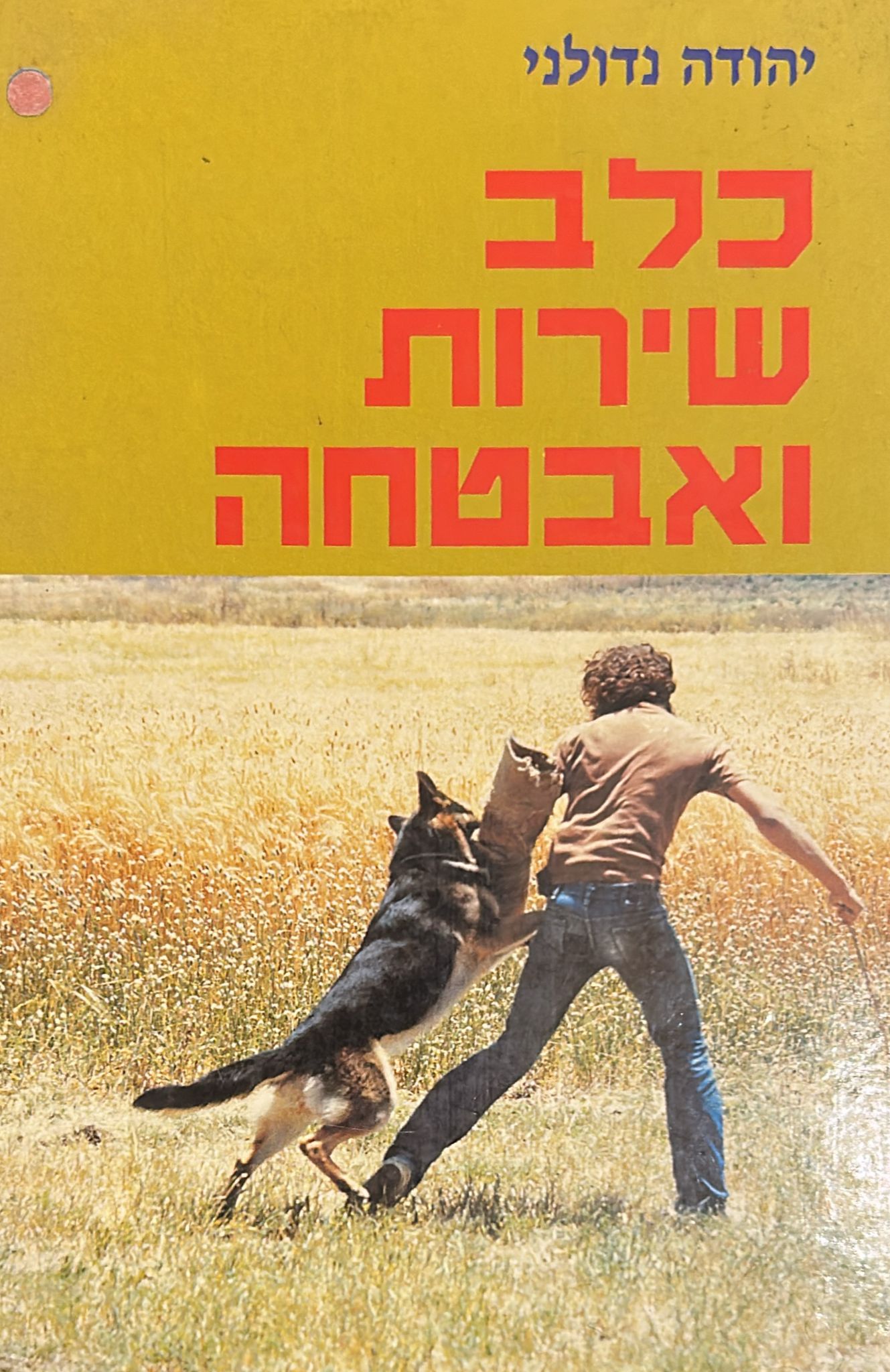 כלב שירות ואבטחה