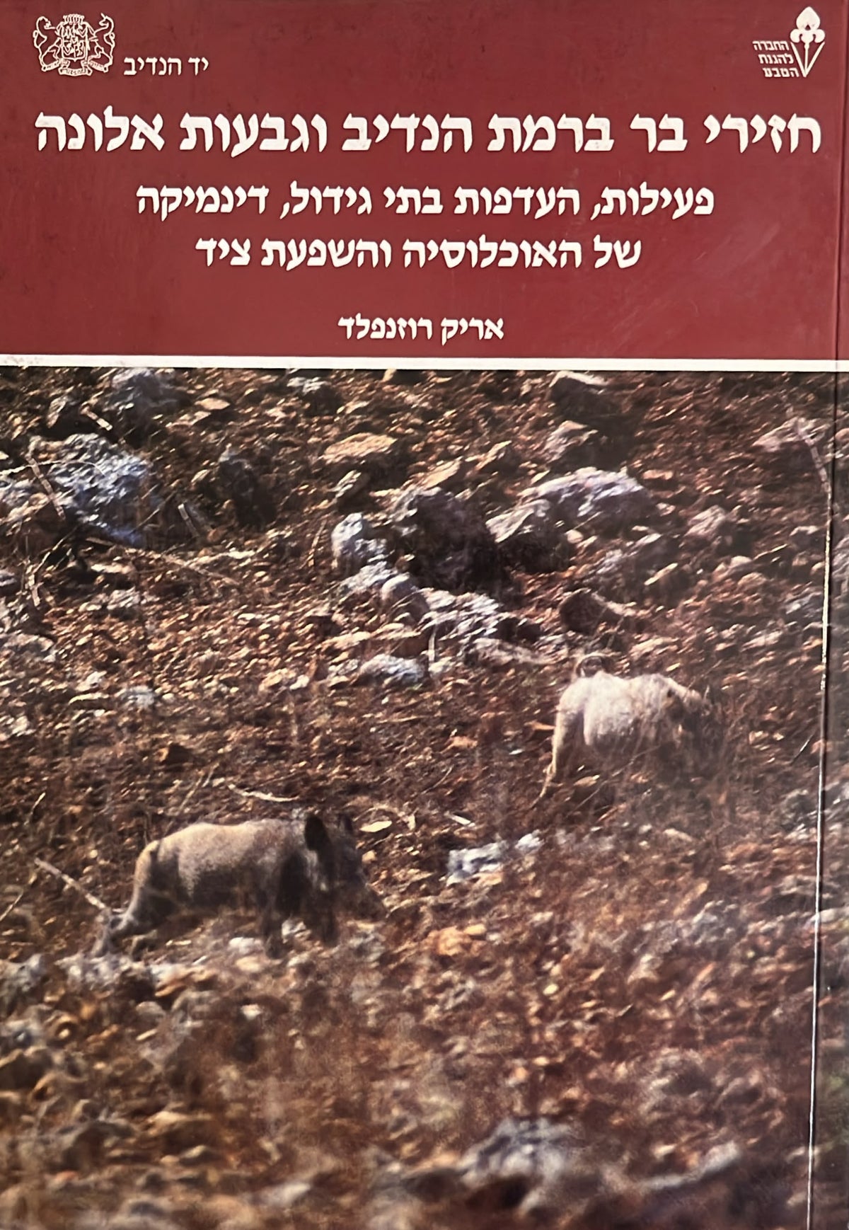 חזירי בר ברמת הנדיב וגבעות אלונה