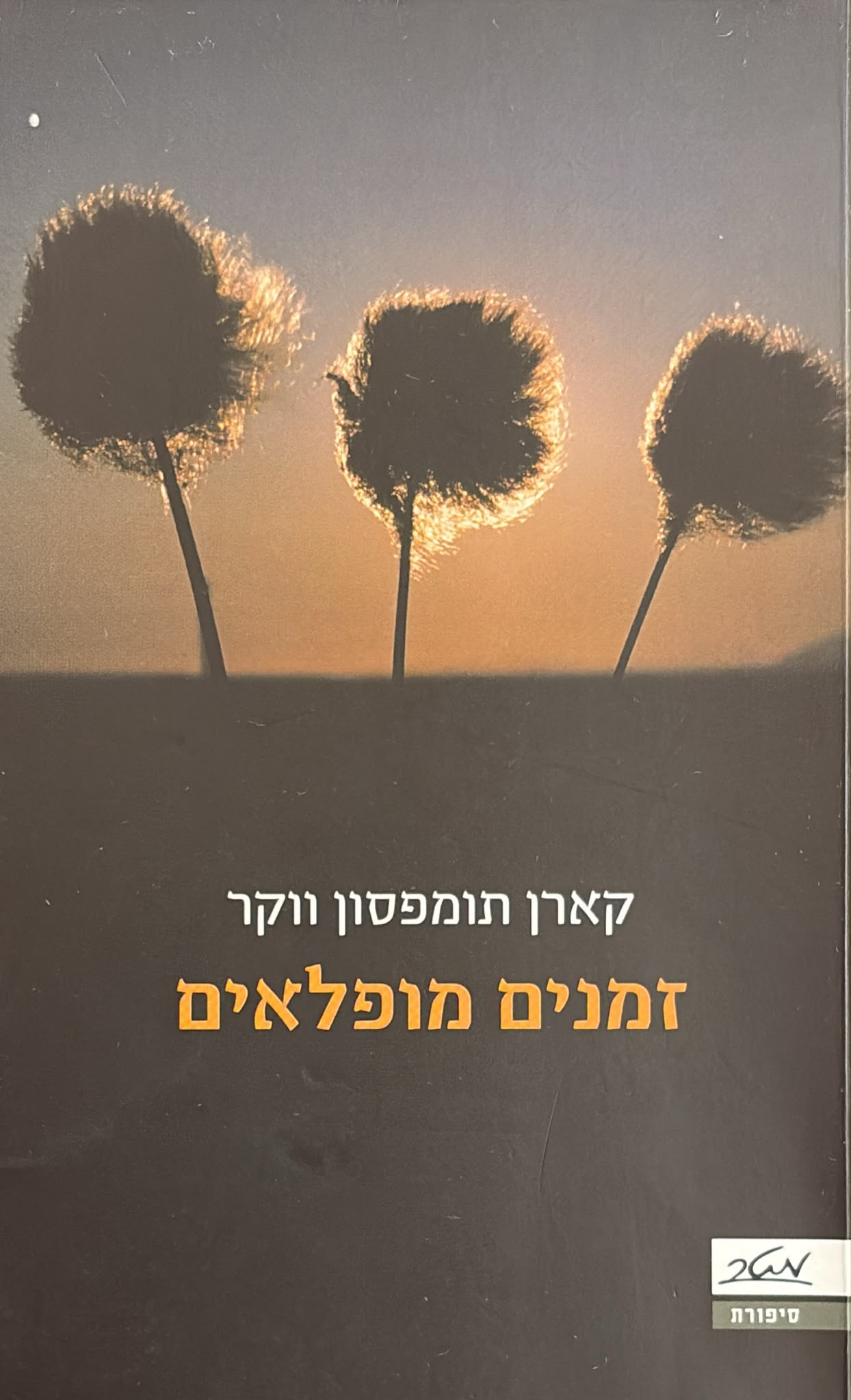 זמנים מופלאים