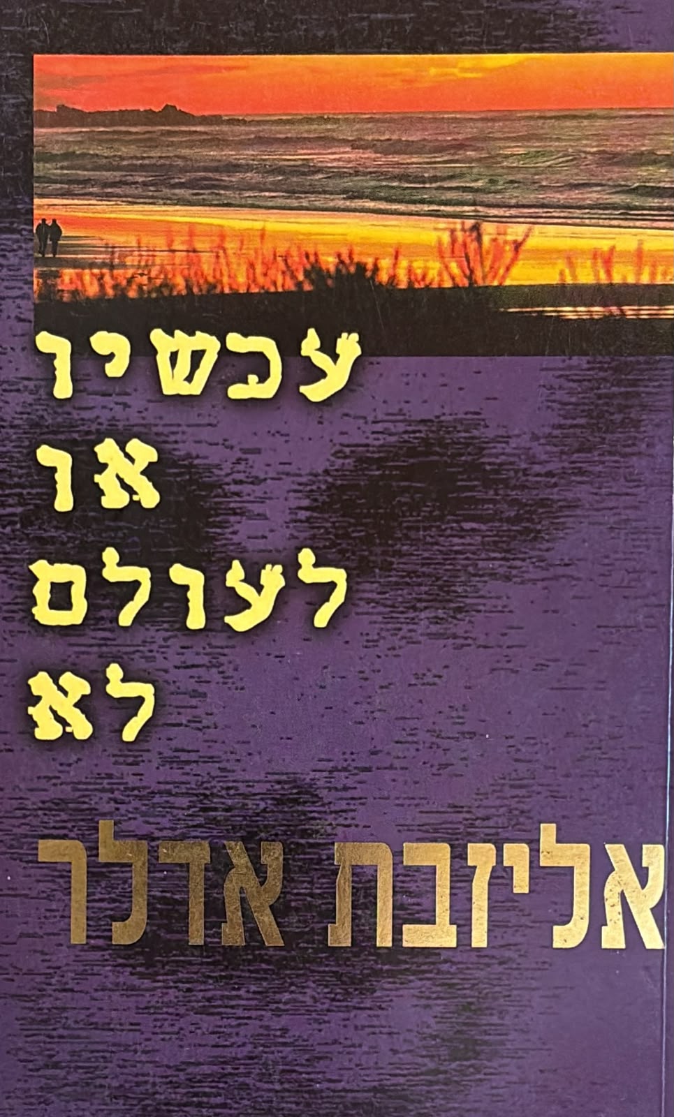 עכשיו או לעולם לא