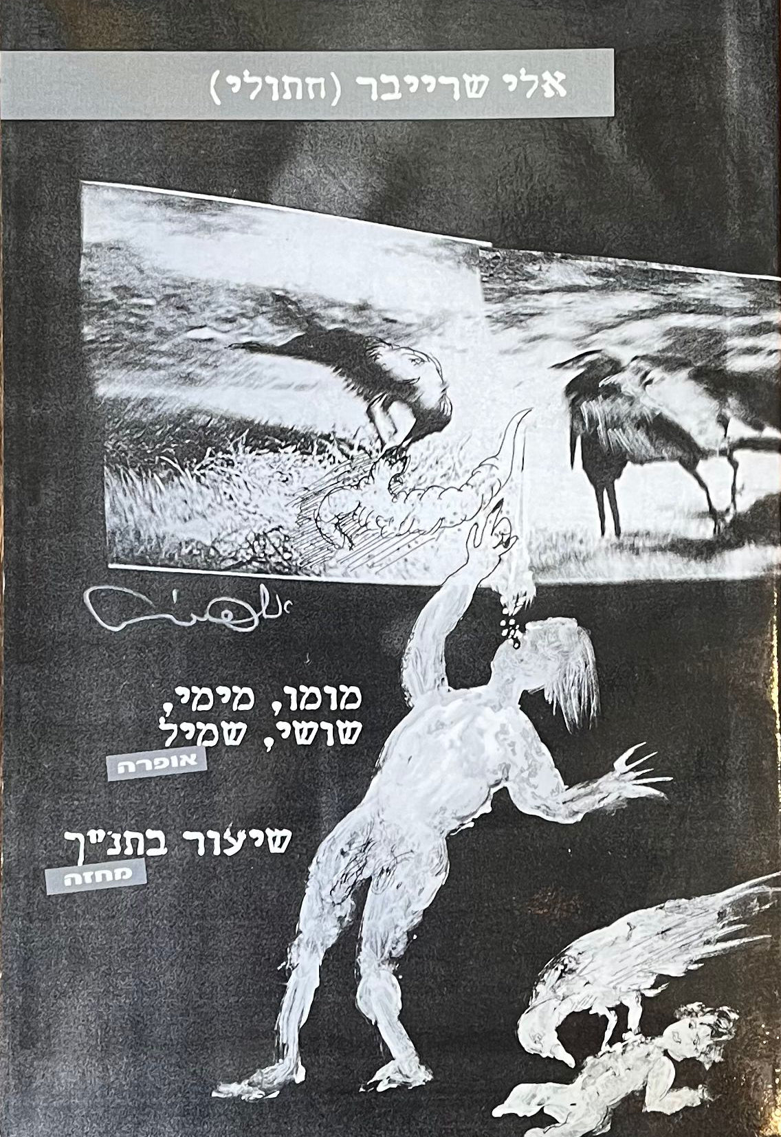 מומו מימי שושי שמיל; שיעור בתנ"ך