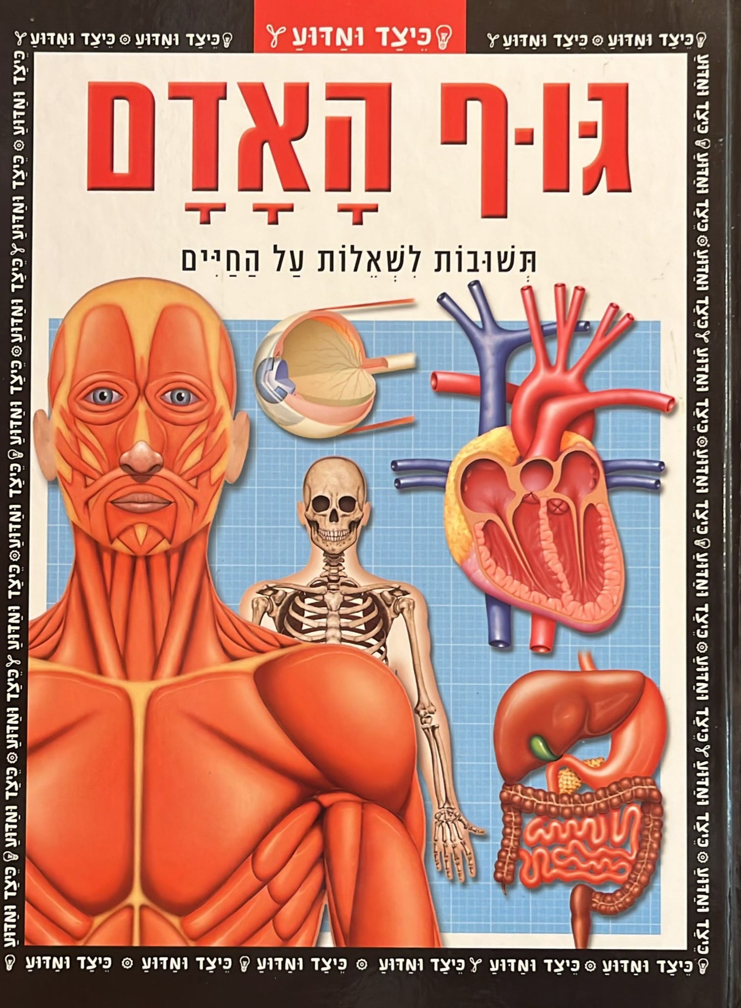 גוף האדם - תשובות לשאלות על החיים