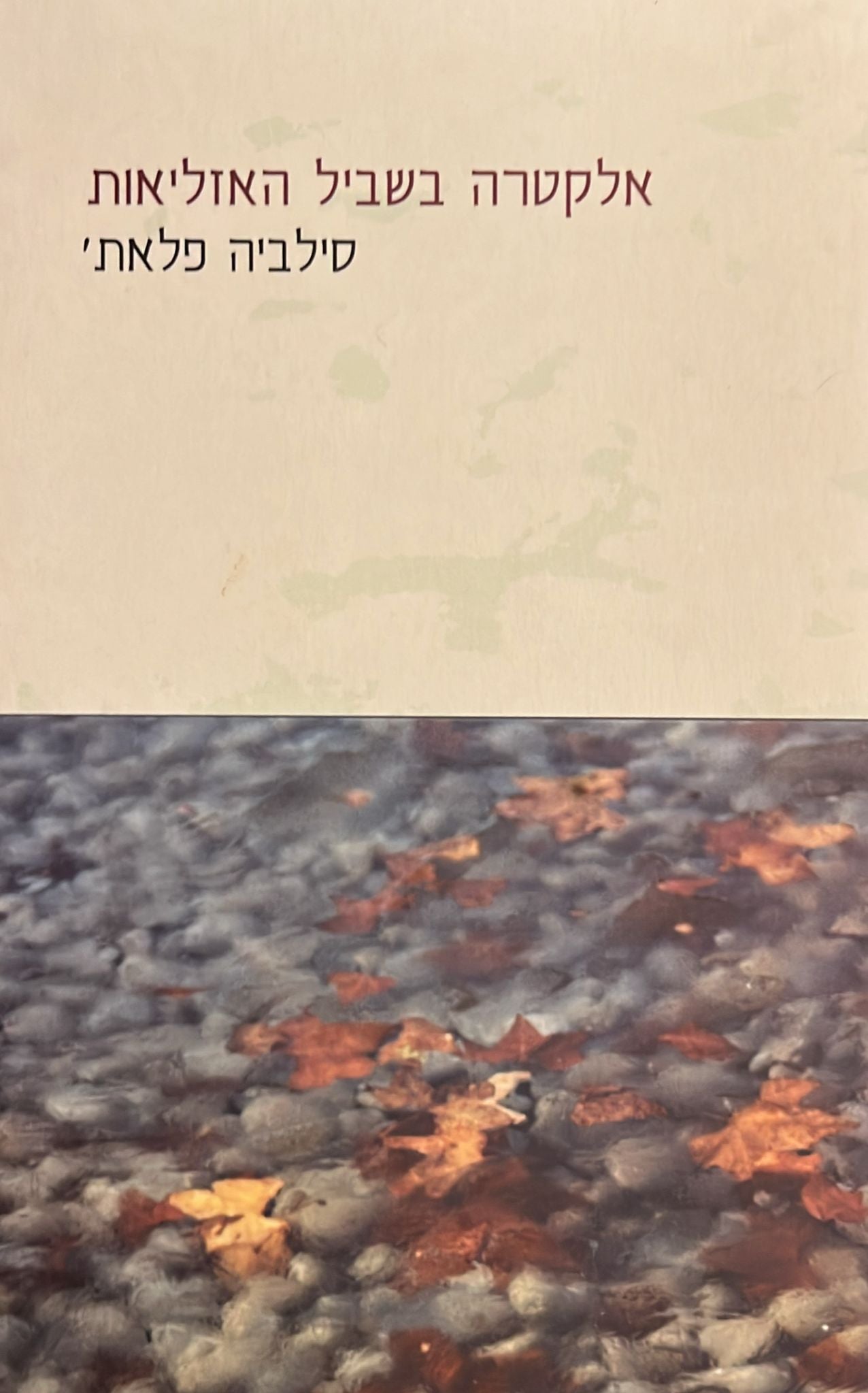 אלקטרה בשביל האזליאות