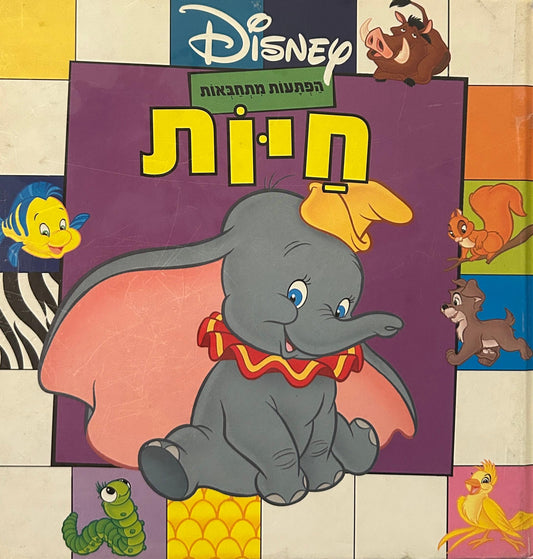 הפתעות מתחבאות - חיות