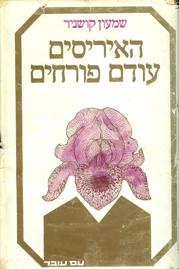 האיריסים עודם פורחים