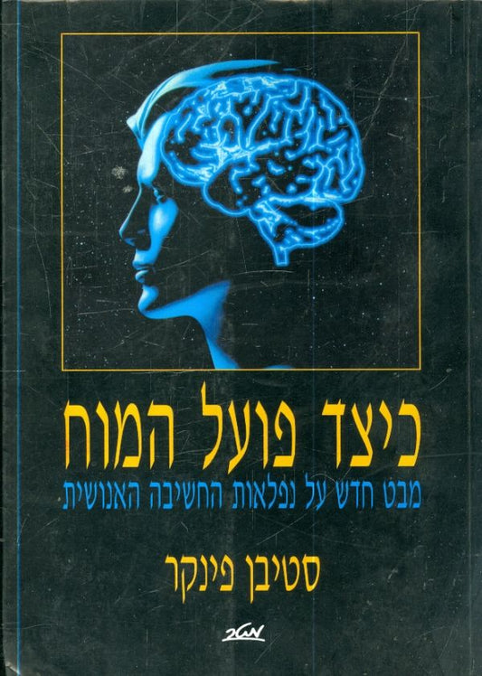 כיצד פועל המוח