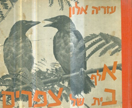 אלף בית של צפרים