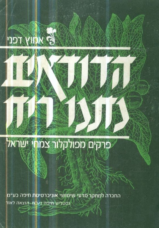 הדודאים נתנו ריח