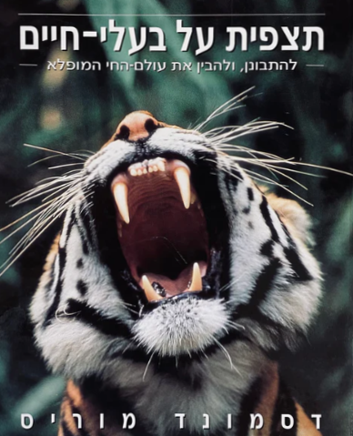 תצפית על בעלי חיים