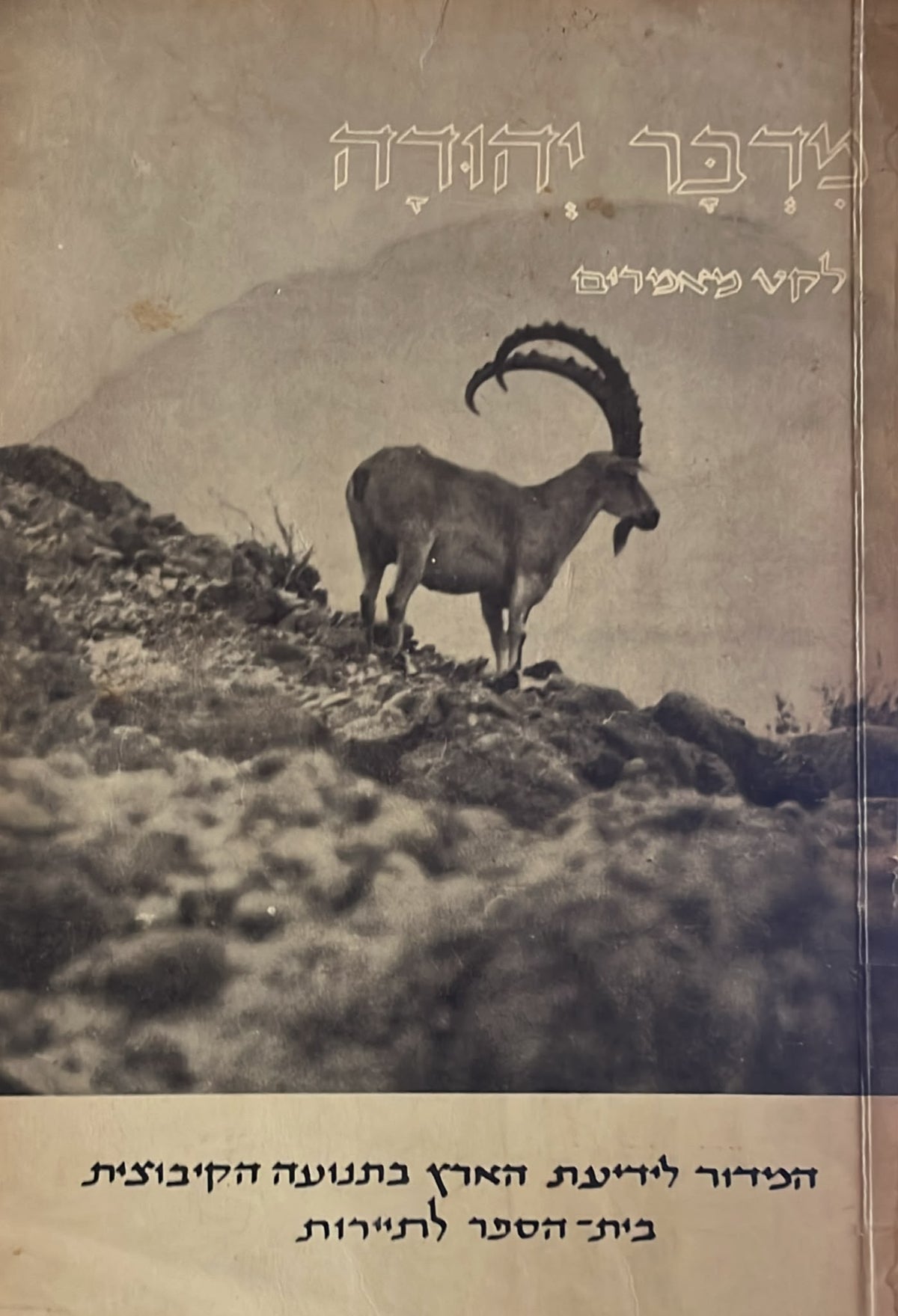 מדבר יהודה - לקט מאמרים