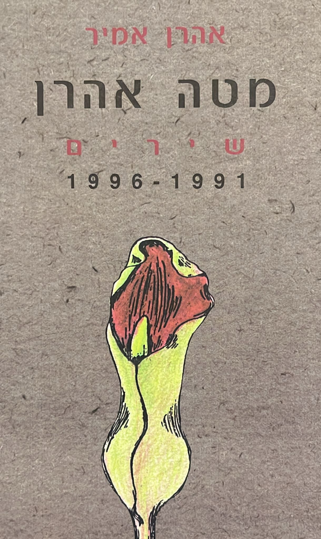 מטה אהרן : שירים 1991-1996