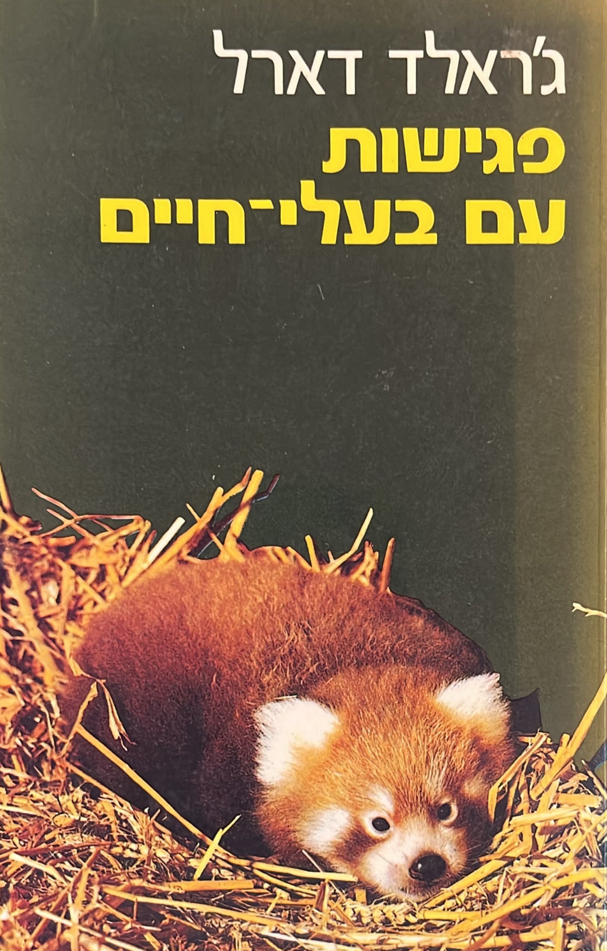 פגישות עם בעלי חיים