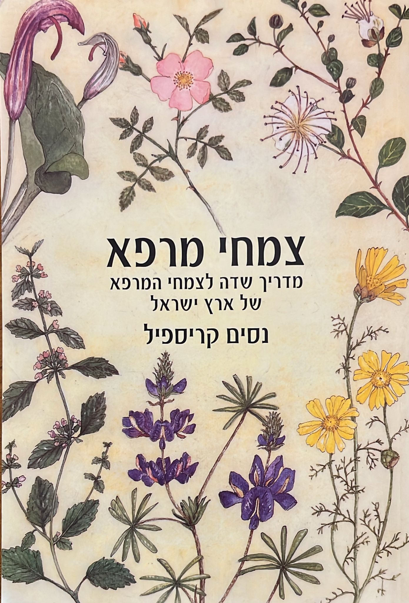 צמחי מרפא : מדריך שדה לצמחי המרפא של ארץ ישראל