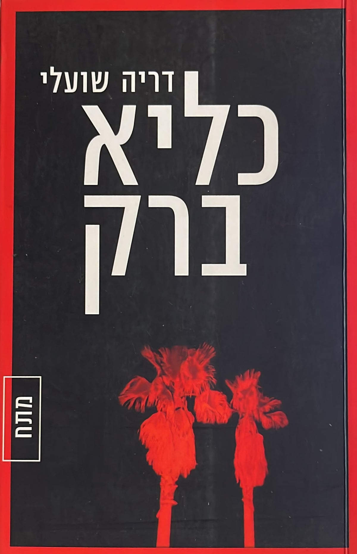 כליא ברק
