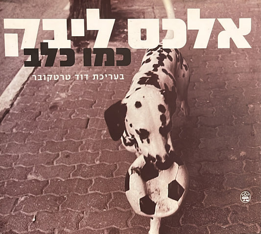 כמו כלב