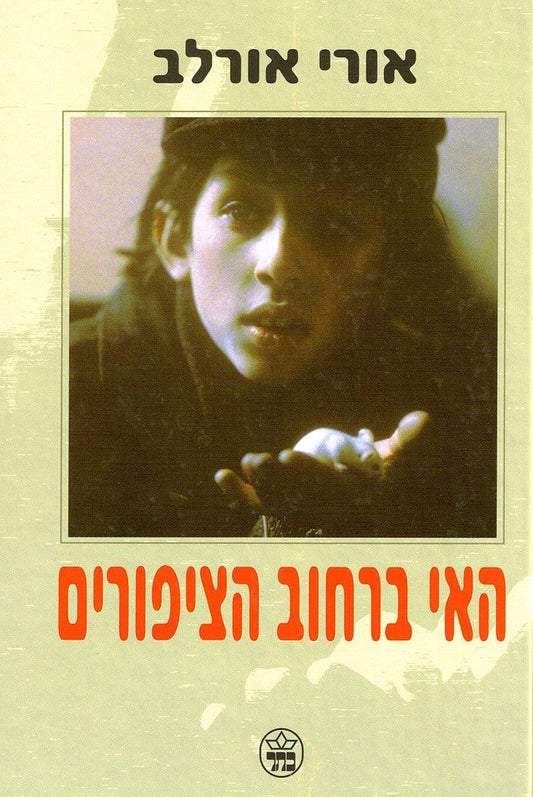 האי ברחוב הציפורים