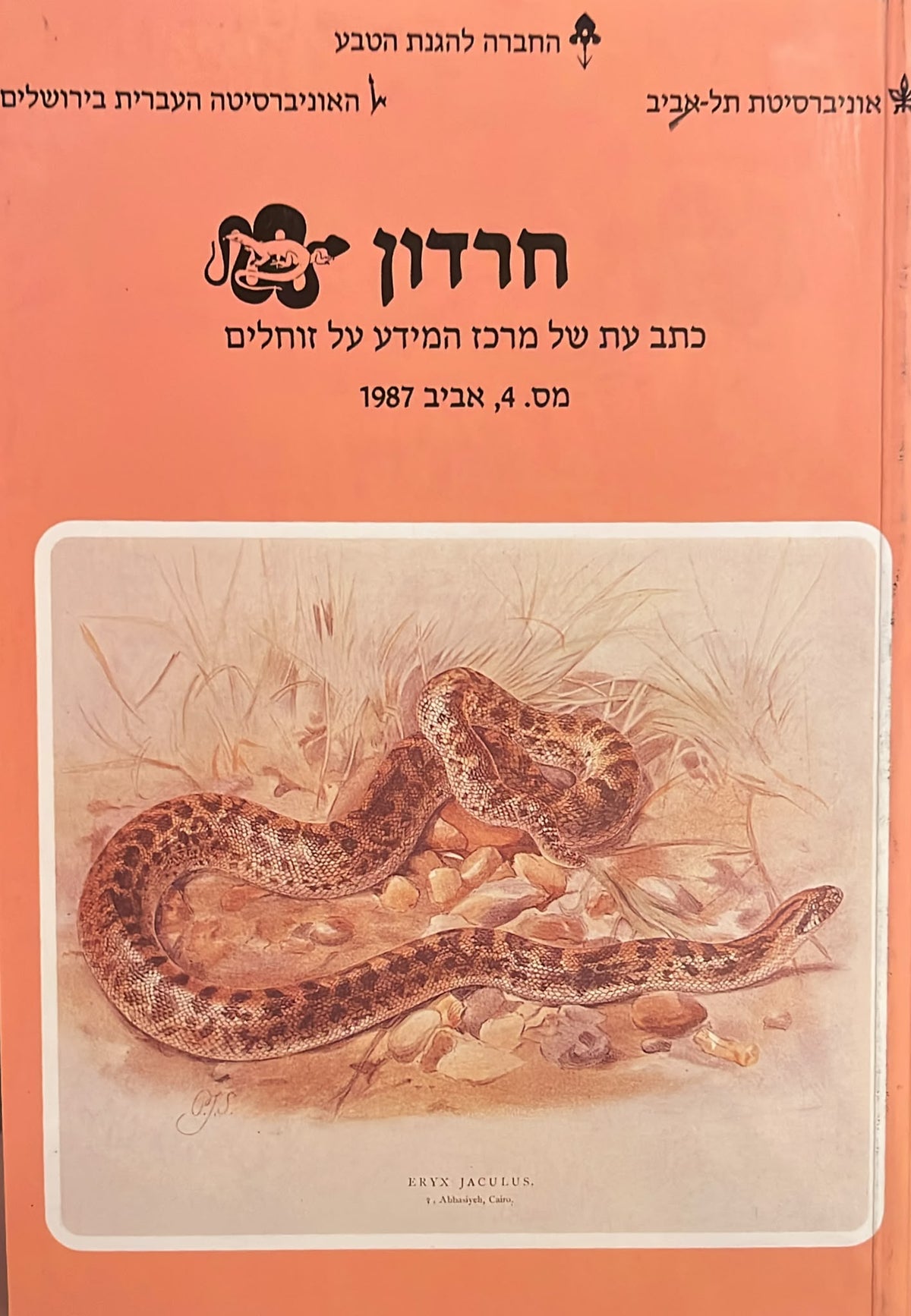 חרדון : כתב עת של מרכז המידע על זוחלים 4