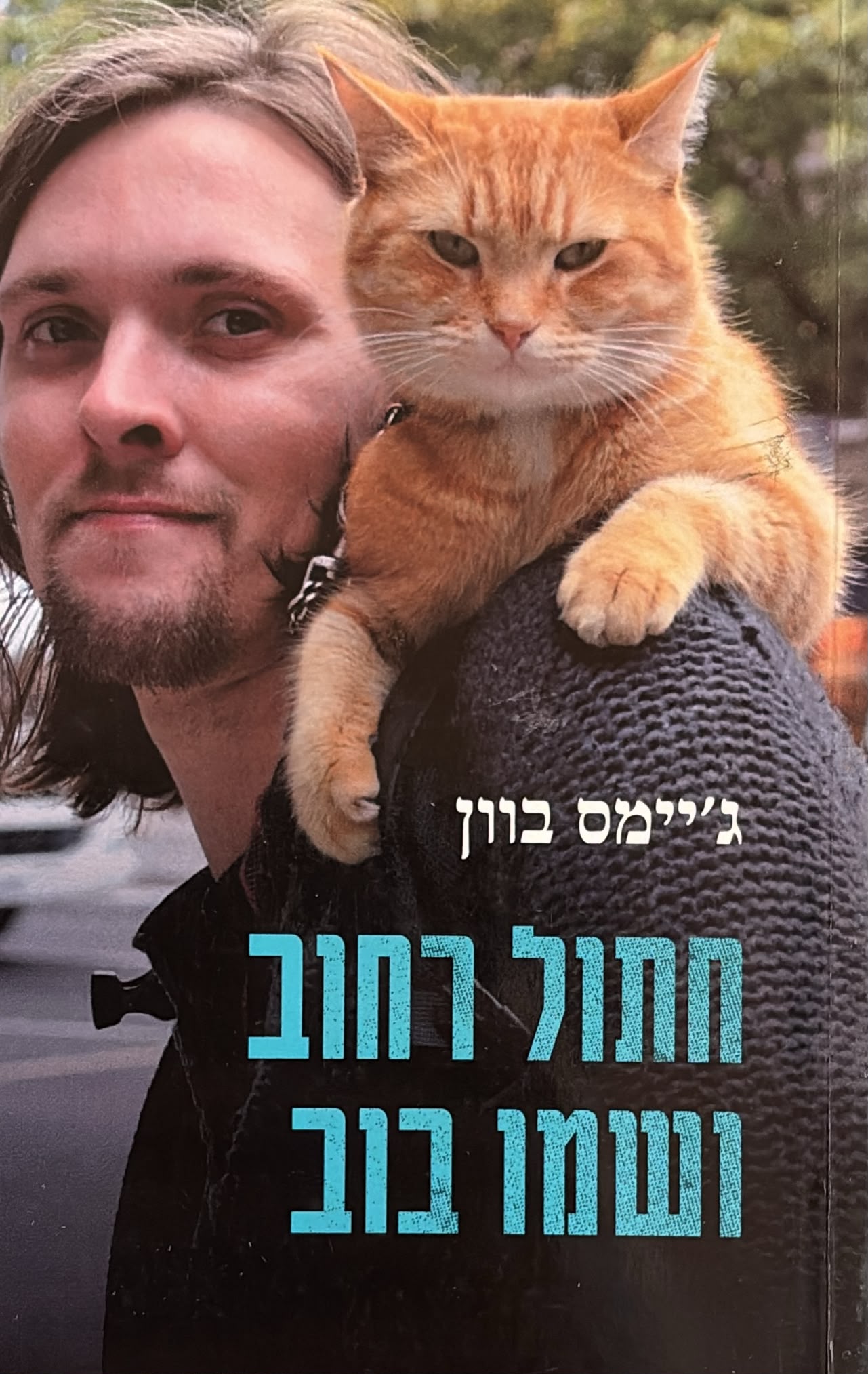 חתול רחוב ושמו בוב