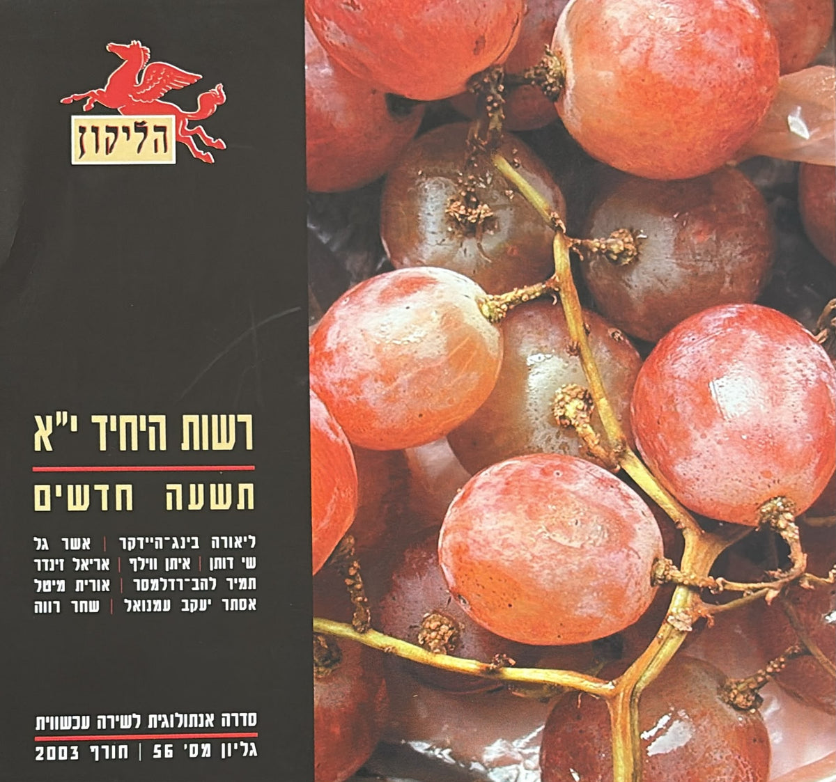 הליקון 56 - רשות היחיד י"א