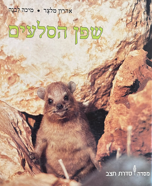 שפן הסלעים