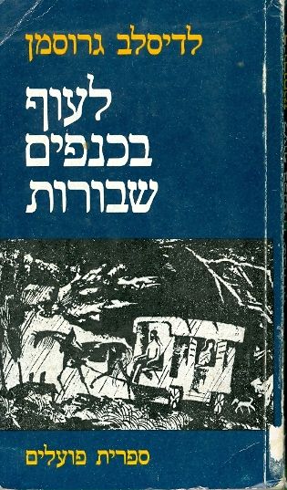 לעוף בכנפים שבורות