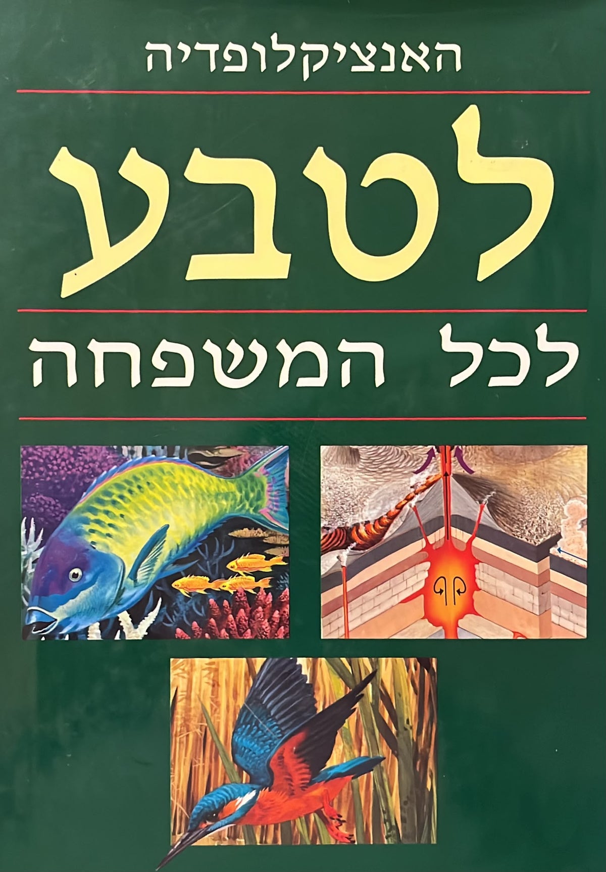 האנציקלופדיה לטבע לכל המשפחה