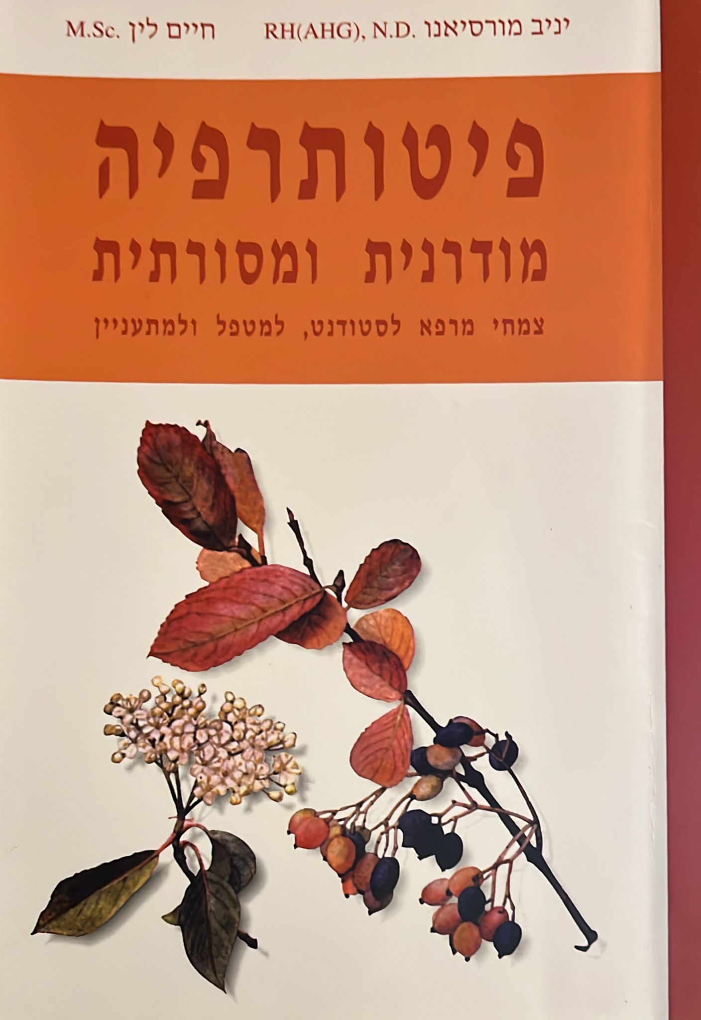 פיטותרפיה מודרנית ומסורתית