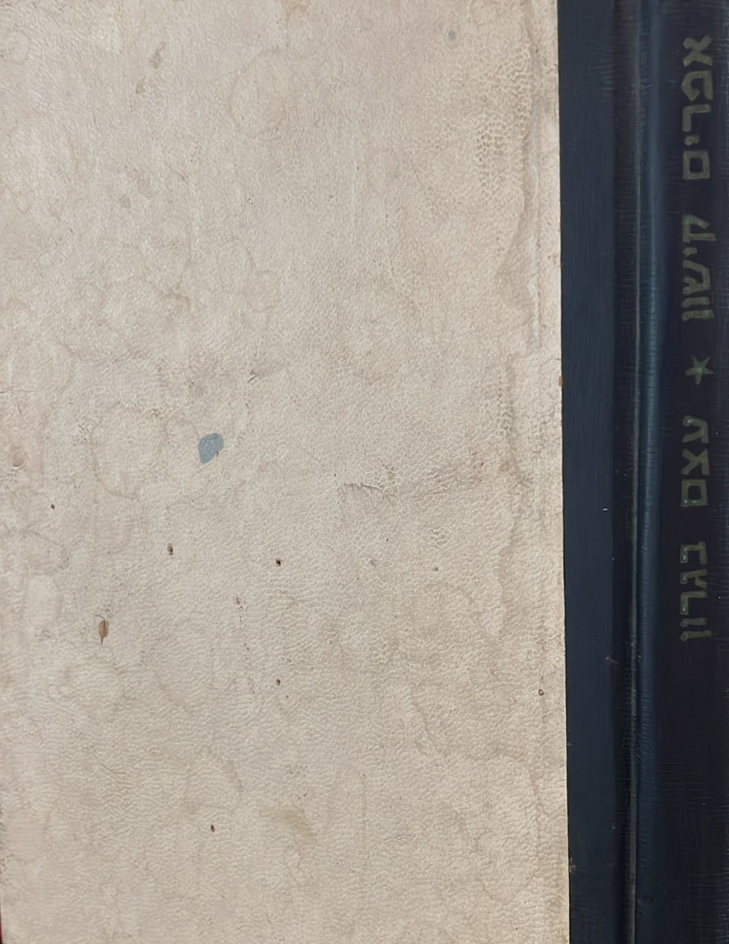 עצם בגרון