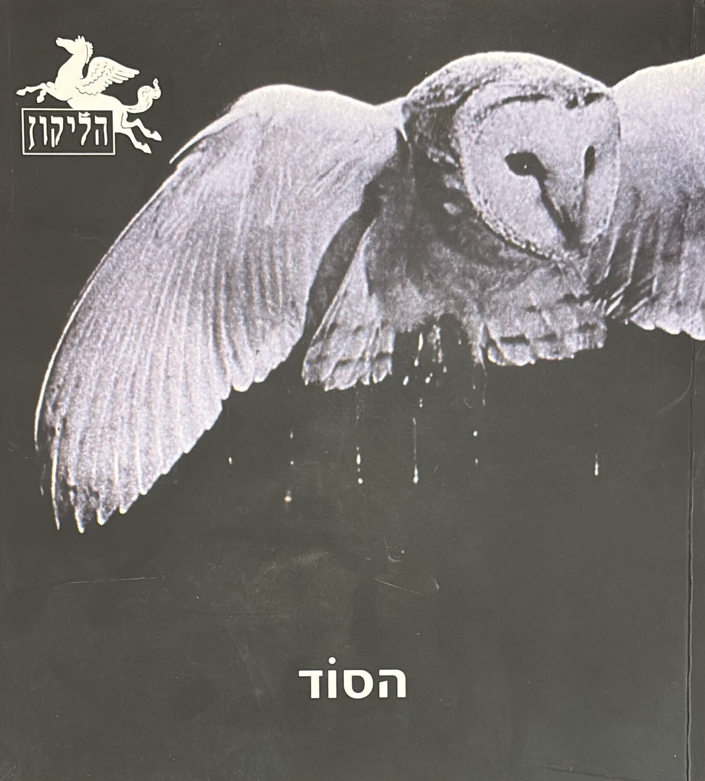 הליקון 67 - הסוד