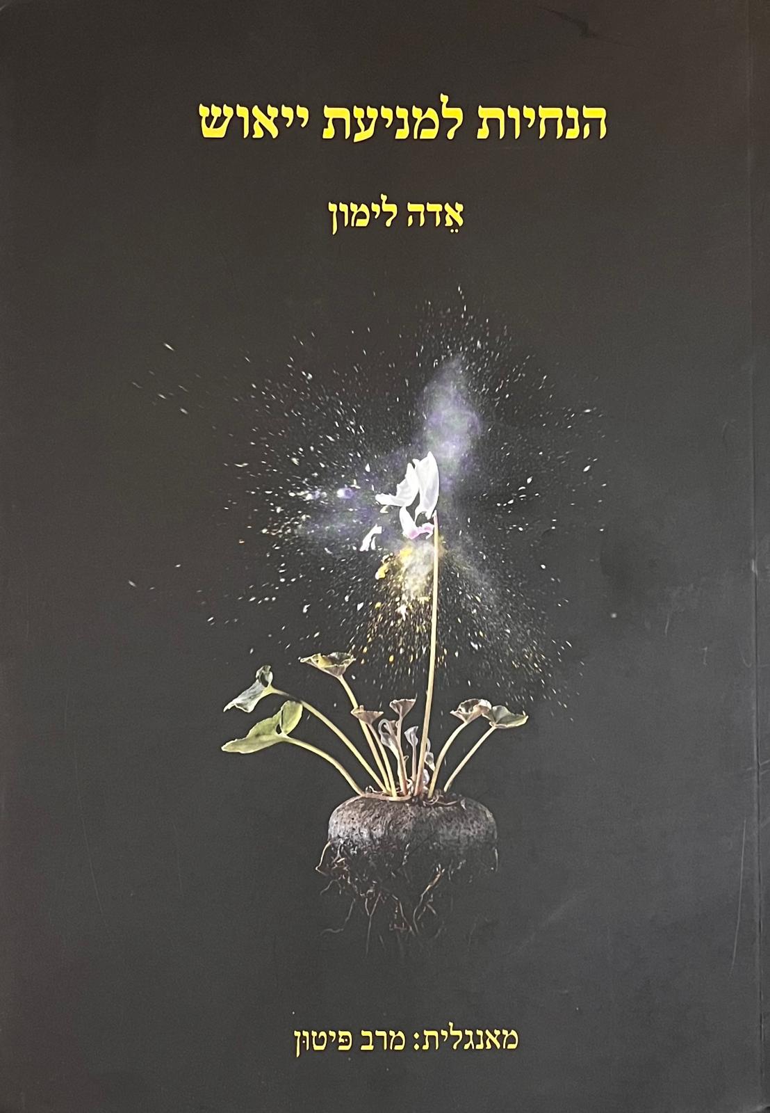 הנחיות למניעת ייאוש