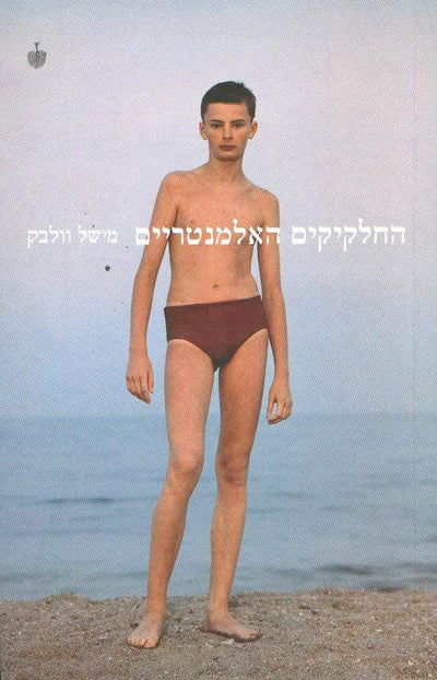 החלקיקים האלמנטריים