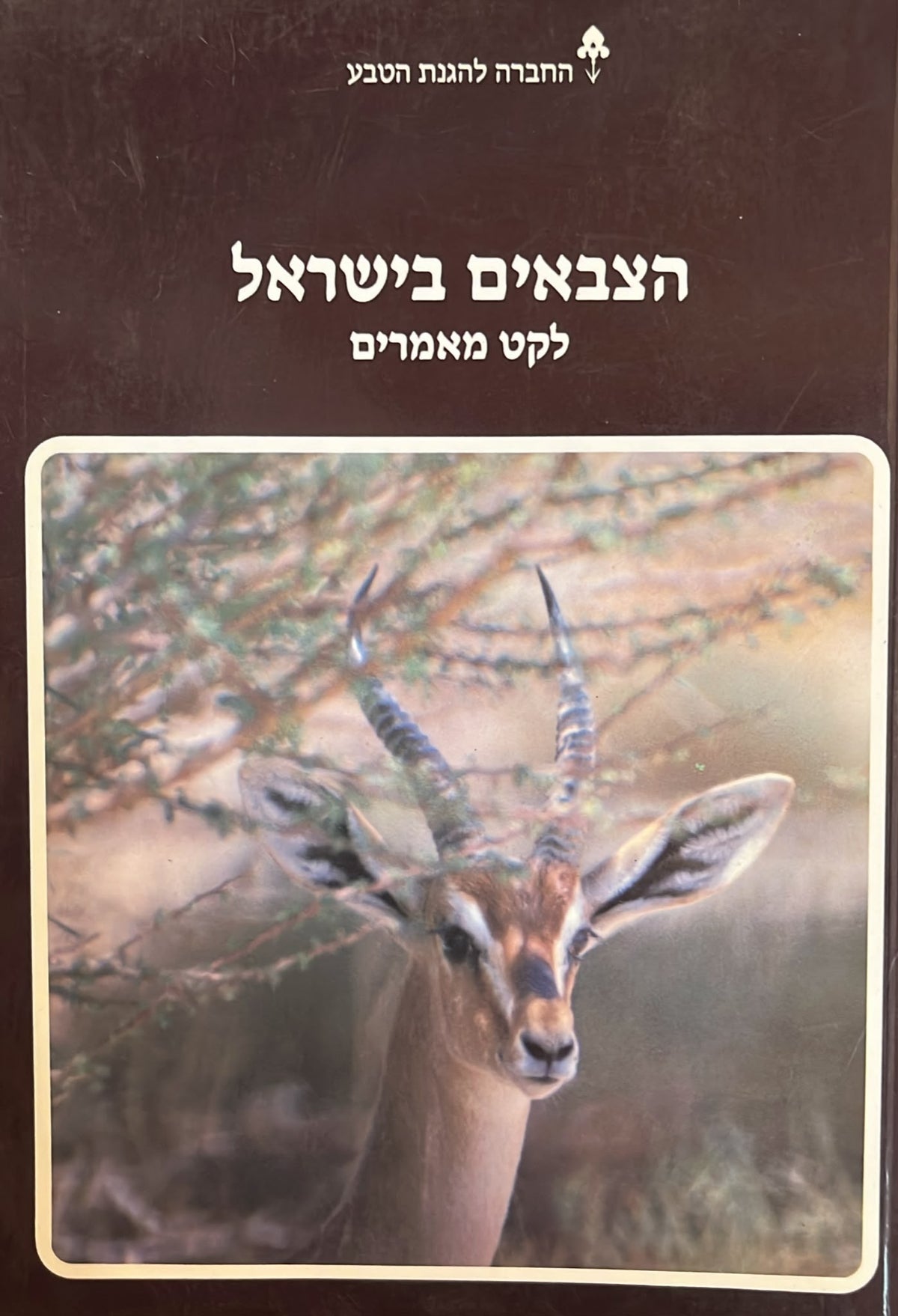 הצבאים בישראל - לקט מאמרים