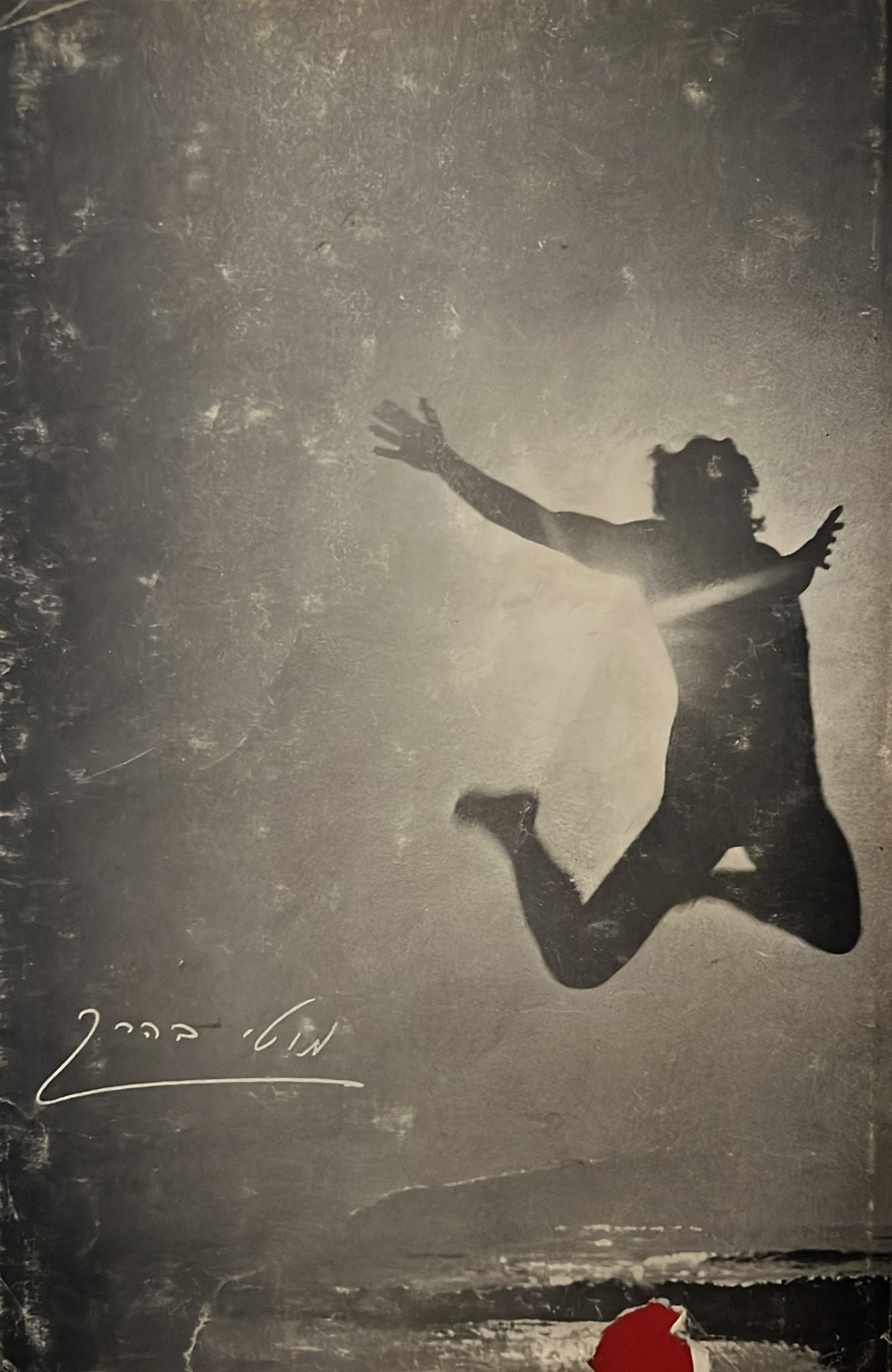 ובהם דגים יאמרו אהבה : שירים