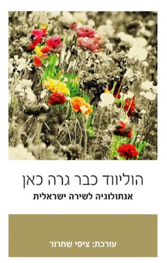 הוליווד כבר גרה כאן