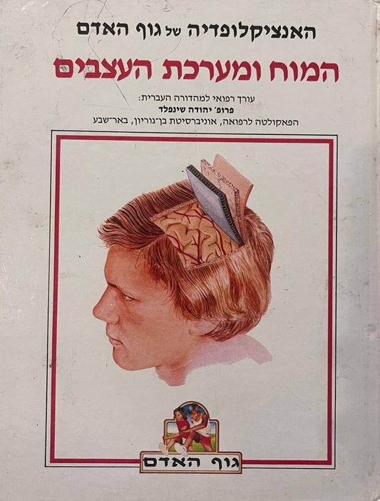 המוח ומערכת העצבים